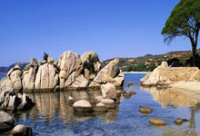 雷火电竞亚洲先驱-塞内加尔绝地反击曼联，博格巴一己之力扛起全队的简单介绍