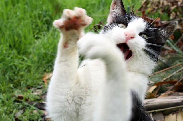 蒂亚戈的三百六十四次触碰,与最后一秒的绝杀音符