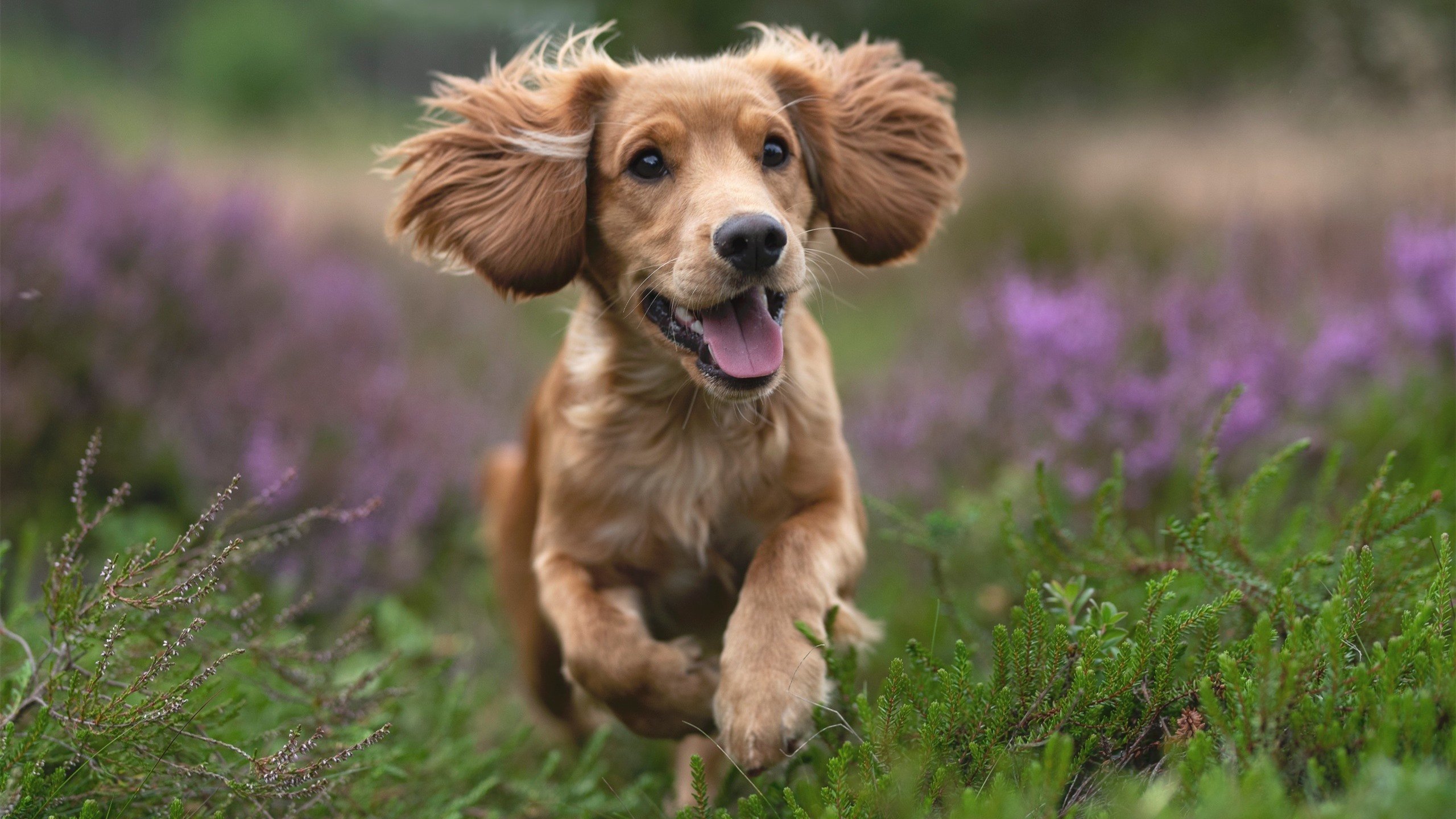 鏖战119分钟，当沉默的王牌于生死时刻亮剑