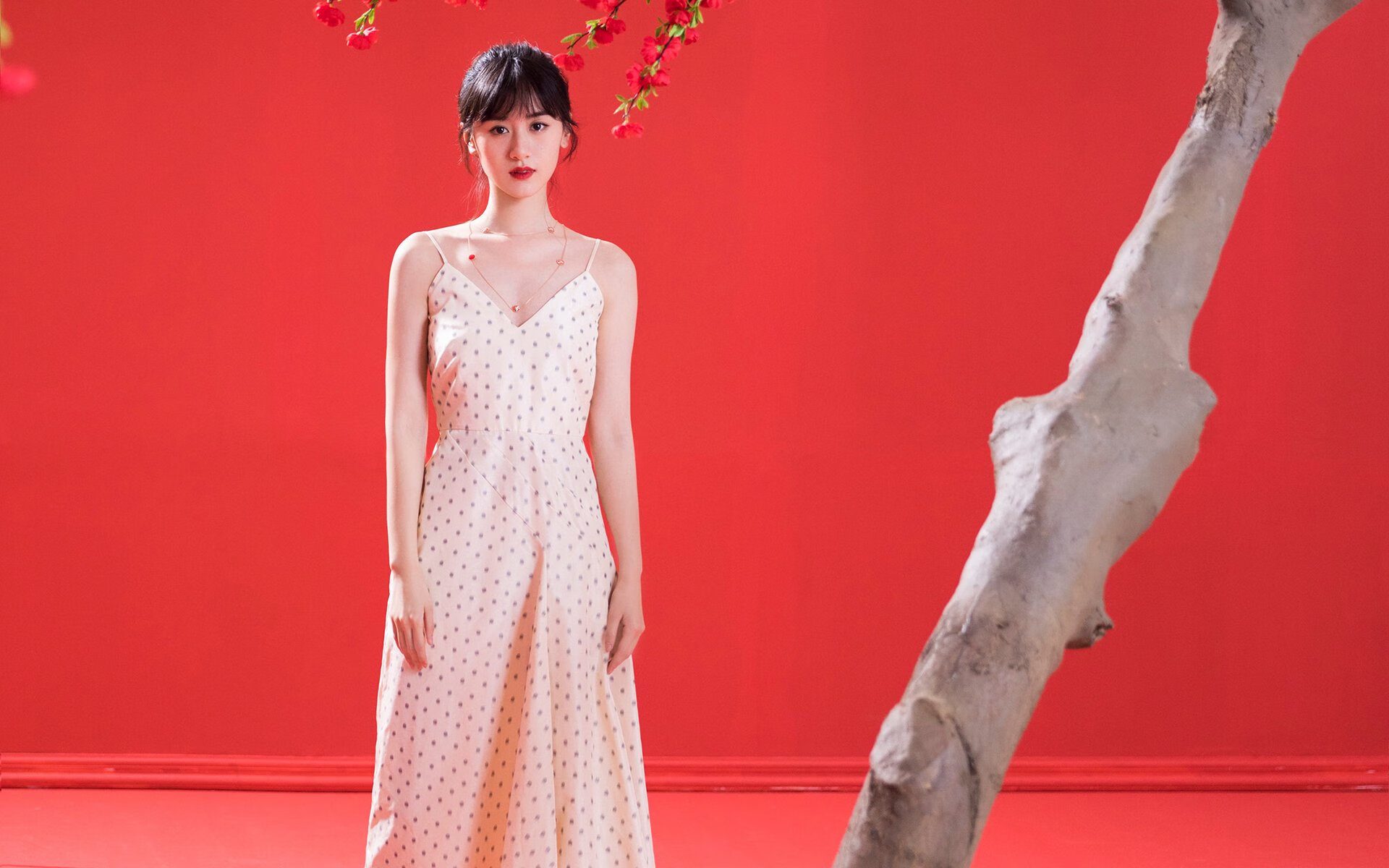 库里神奇公式引爆大通中心，浙江战术提前终结尼克斯悬念